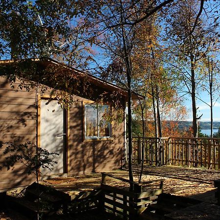 Cabanas Mas Ke Miel Población Población Lago Ranco Екстериор снимка